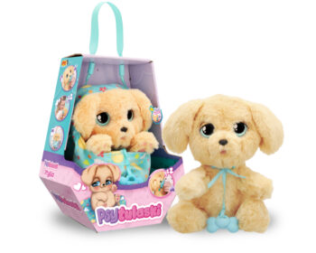 psytulaski labrador kompozycja ep60186