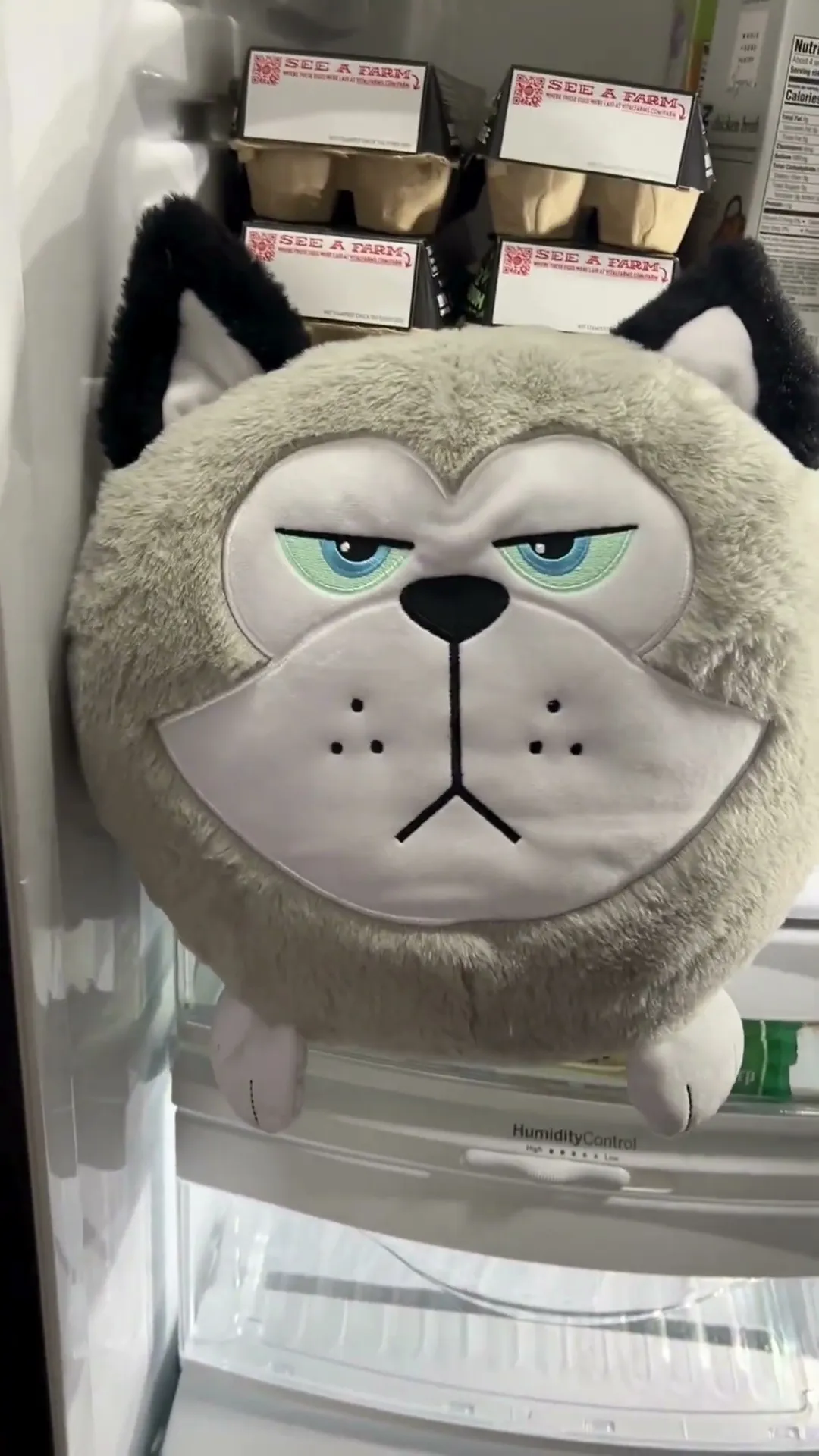 Poznajcie Złodomory - Pluszaki tak głodne, że aż złe.